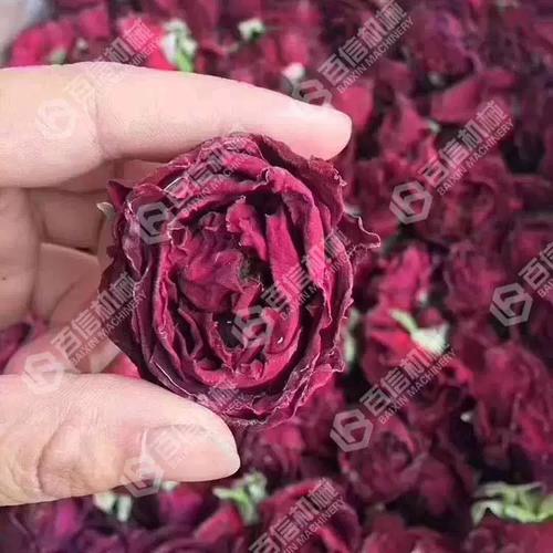 百信机械玫瑰烘干机节能环保型农产品烘干设备大型玫瑰干燥机